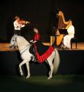 Spectacle Ã©questre